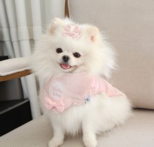 Bandana pra Cachorro 